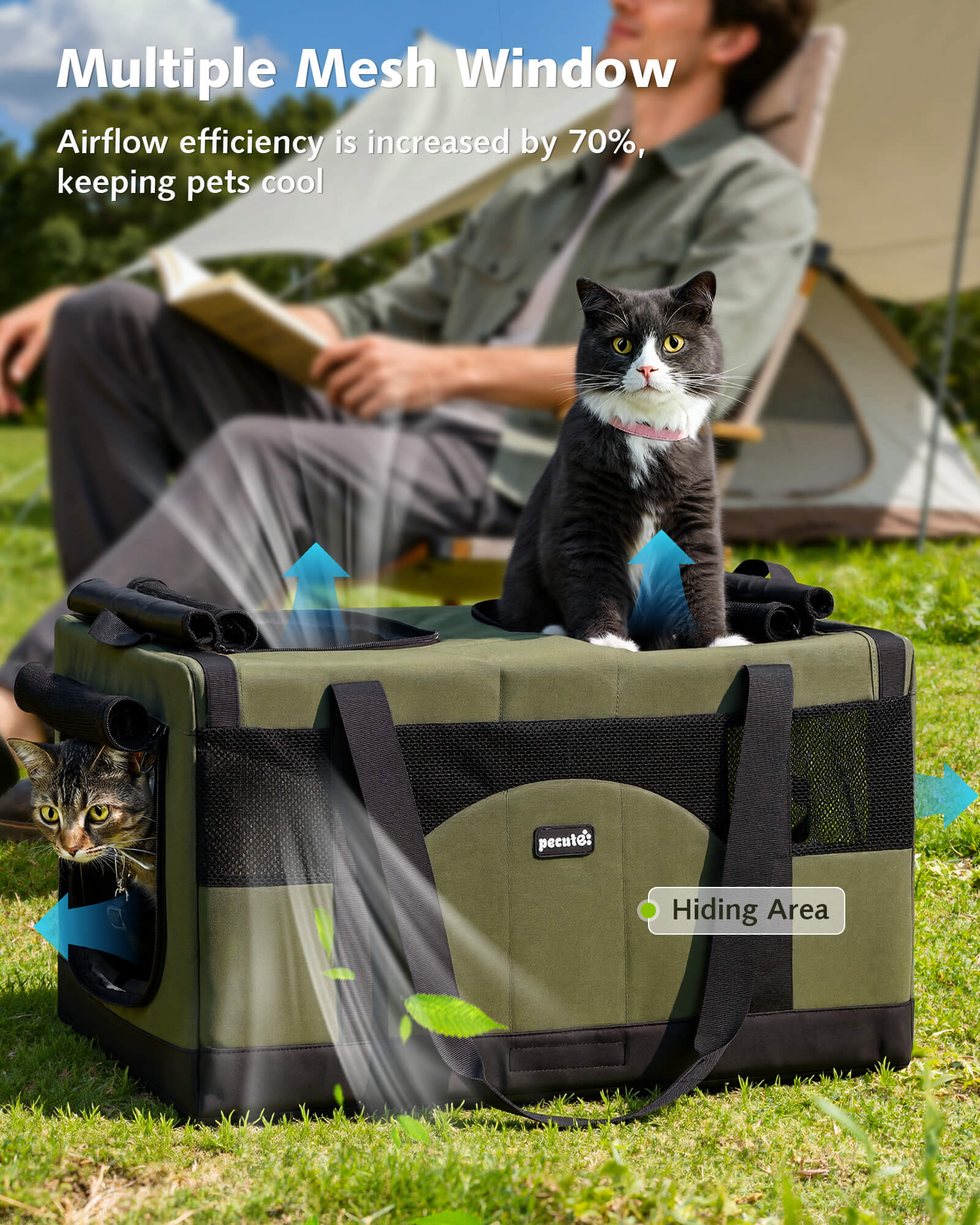 Pecute Cat Dual-Compartment Frame Handbag